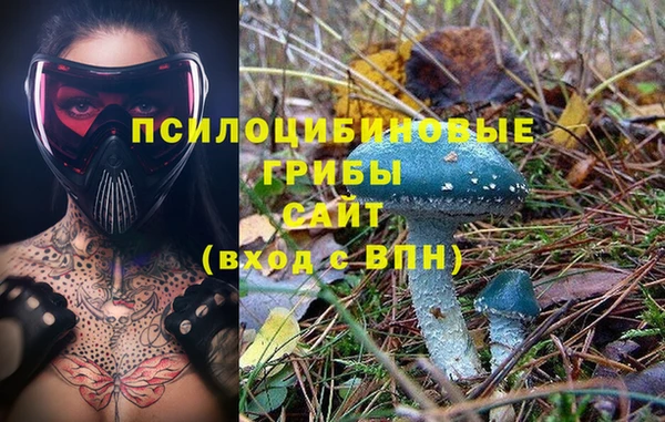 прущая мука Слюдянка