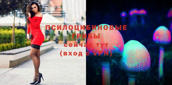 индика Верхнеуральск