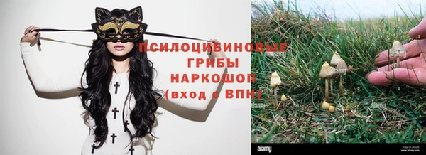 круглые Верея