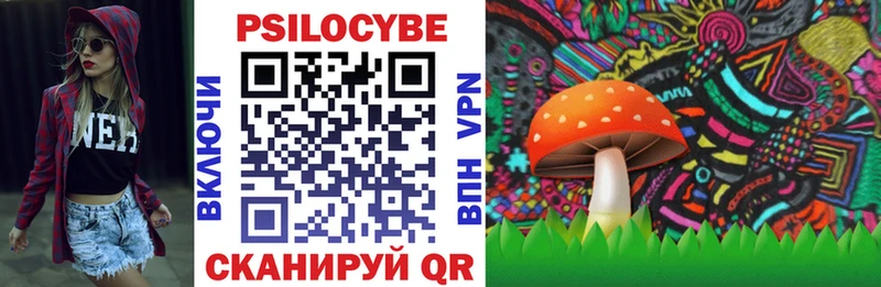 Галлюциногенные грибы ЛСД  Купить закладки  Пудож 